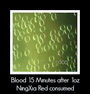 Second Blood Sample